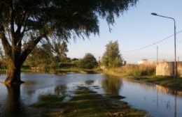 Preocupa el nivel del río Rojas: Se controla hora a hora